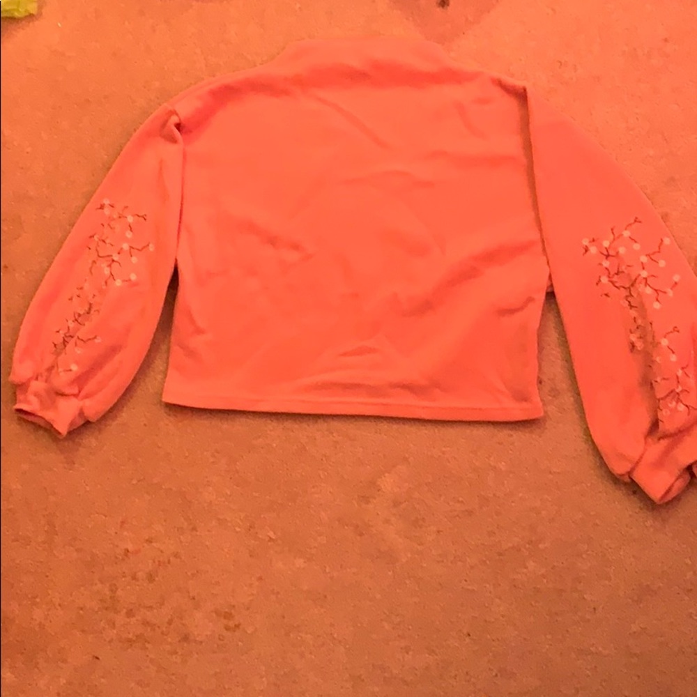 Lantern Sleeve Floral Embroidered Sweatshirt
